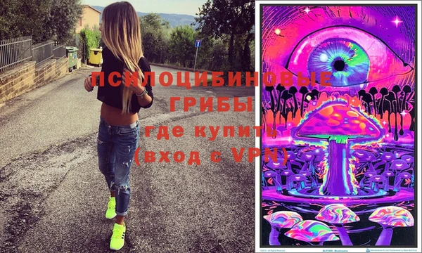эйфоретик Алексин