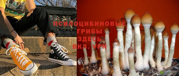 эйфоретик Алексин