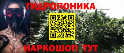 mdpv Рыбинск