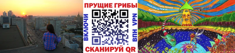 Галлюциногенные грибы прущие грибы Южно-Сахалинск